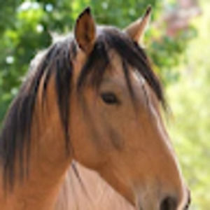 Meet your Posher, Ava